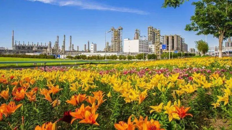 化工产品品牌榜：揭秘行业实力派，如何选择可靠供应商