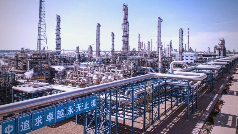 皮革助剂分类解析：揭秘皮革加工中的秘密武器